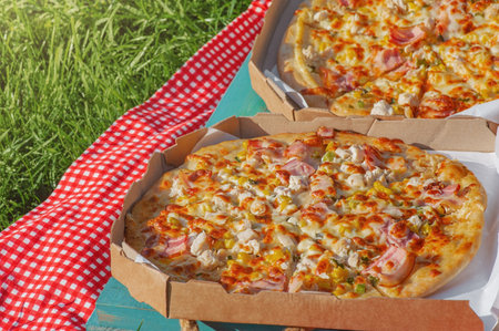 Two pizzas on a checkered red and white tablecloth on the grass. Picnic.の写真素材