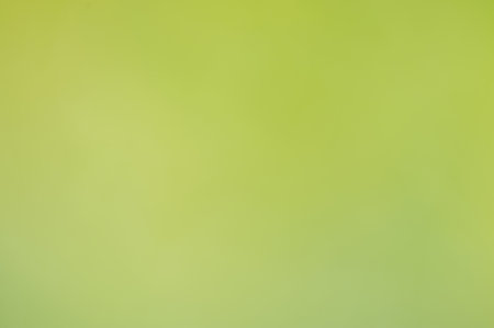 Abstract blurred green nature backgroundの写真素材