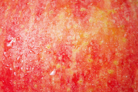 Apple texture red and yellow as backgroundの写真素材