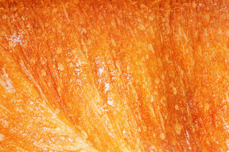 Baguette macro photo as background. Bread.の写真素材