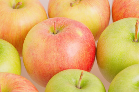 Red and green apples on a light background. Fruits, applesの写真素材