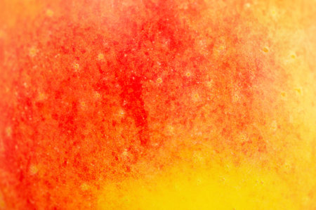 Close up photo of red apple background. Apples fruit peel texture, macroの写真素材
