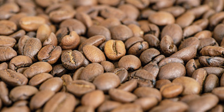 Coffee beans as a background macro photoの写真素材