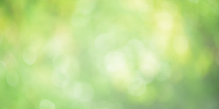 Defocused plants as background. Natural green background defocus lightの写真素材