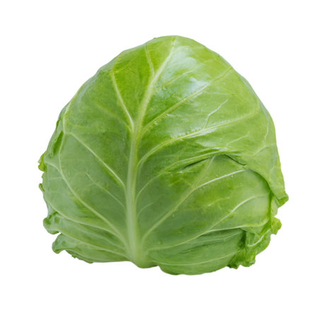Vegetable, cabbage. Cabbage isolate on a white backgroundの写真素材
