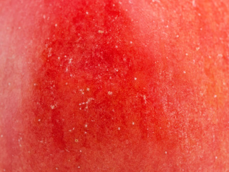 Texture of a red apple as a background macro photoの写真素材