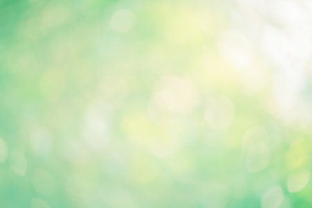 Defocused abstract natural green background with lightの写真素材