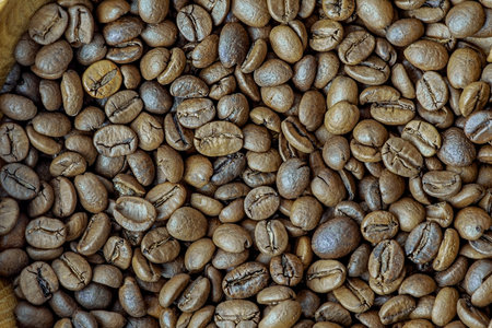 Coffee beans as a background macro photo. Coffee beans, caffeineの写真素材