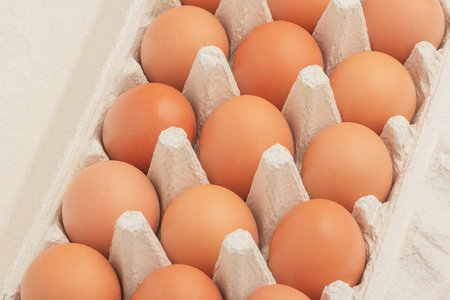 Eggs in a paper box macro photoの写真素材