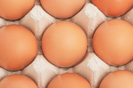 Eggs in a cardboard box as a background