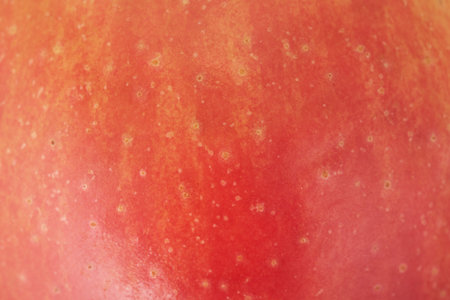 Texture of a red apple as a background macro photo