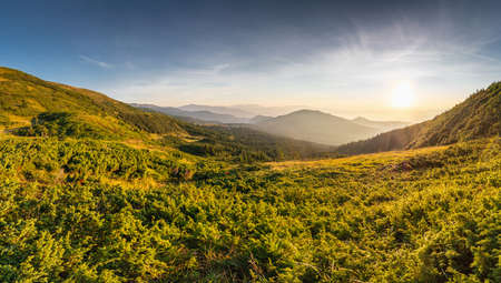 Sunrise at the top of the Carpathian mountains, awesome nature landscape in the morning. outdoor activities. Top of the mountains, lush lower parts.の写真素材