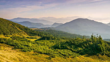 Beautiful sunrise in the Carpathians. Traveling along the mountains, freedom and active lifestyle concept. The beauty of the Carpathian Mountains. Vibrant photoの写真素材