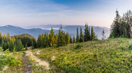 Panorama morning view of the Carpathian mountains. Morning on the Montenegrin ridge, Transcarpathia, Ukraine, Europe. Beauty of nature, background conceptの写真素材