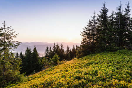 Beautiful sunrise in the mountains. bright landscape. Beauty of nature, background conceptの写真素材
