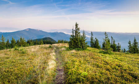 Bright Carpathian landscape in the morning light with beautiful green grass and blue sky. panoramic view. Beauty of nature, background conceptの写真素材