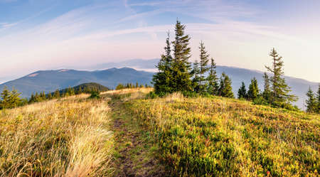 Beautiful sunrise in the mountains. bright landscape. Beauty of nature, background conceptの写真素材