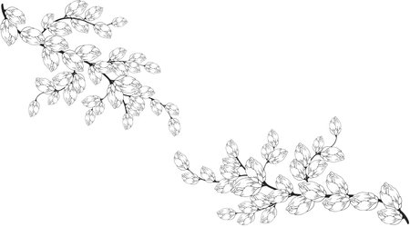 Floral background, Floral composition, floral background with tender flowers and branches of buds. hand drawingのイラスト素材