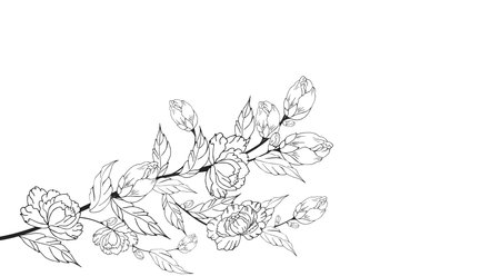 Beautiful monochrome floral background with peony flowers. vector illustration.のイラスト素材