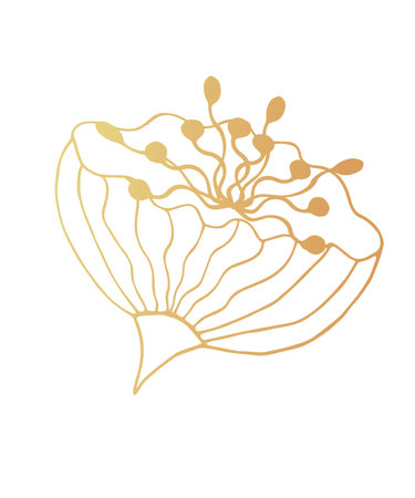 A flower, a branch of gold leafのイラスト素材