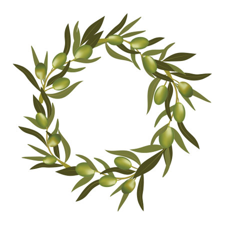 Green wreath with olive branch and green olives. Vegetarian food and healthy lifestyle.のイラスト素材