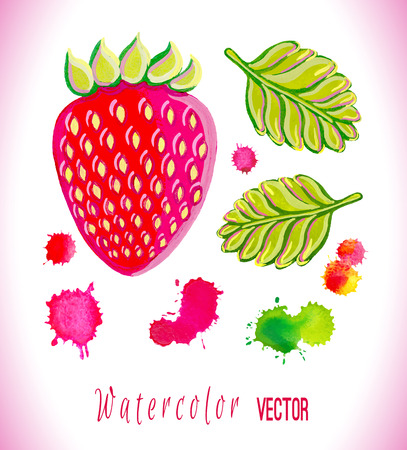 Watercolor vector strawberry isolated on white background.のイラスト素材