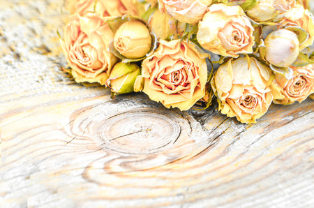 Withered rose on wooden background. Abstract holiday frame with dried roses on old wooden plates.の写真素材