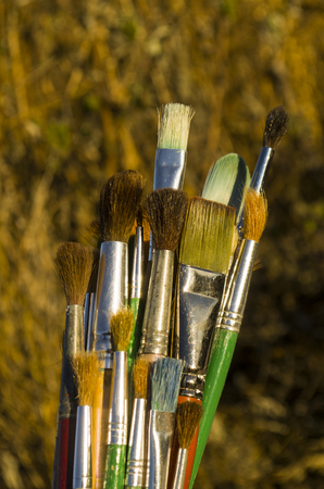Various paint brushes. Close up of paint brushes. Brushes on blurred autumn backgroundの写真素材