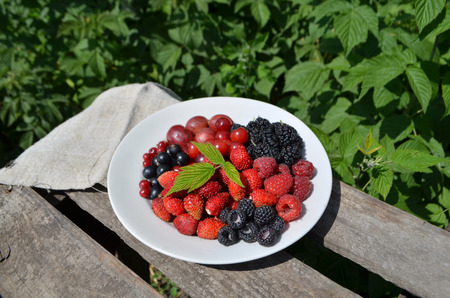 Assorted garden berries on a plate. Fresh berries on white background