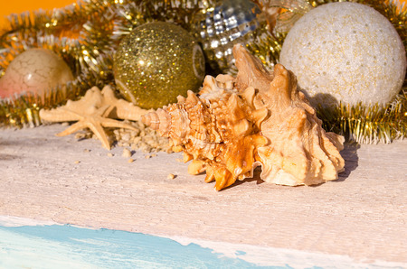 Christmas decorations and sea shells and starfish.の写真素材