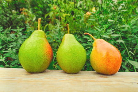 Fresh sweet organic pears on old wood.の写真素材