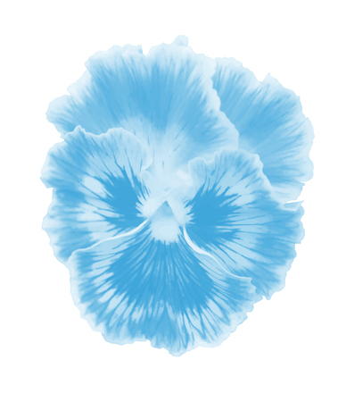 Floral decorative art illustration. Pansies vector background.のイラスト素材