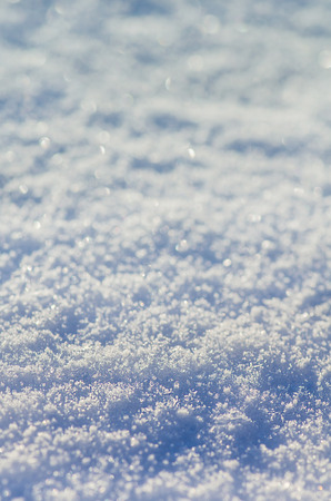 Background of fresh snow. Natural winter background. Snow texture in blue toneの写真素材