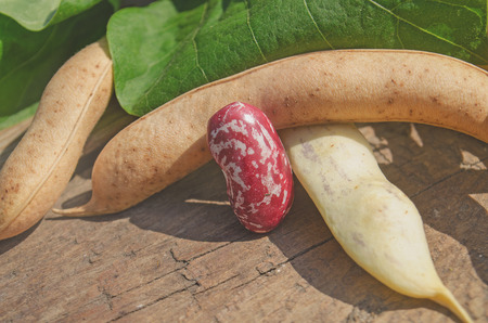 Red beans seeds on a wooden tableの写真素材