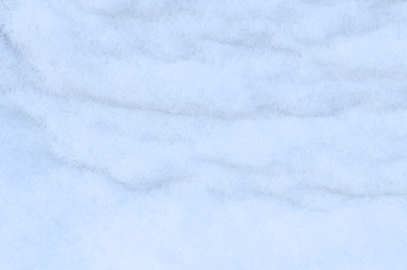 Background of fresh snow. Natural winter background. Snow texture in blue tone