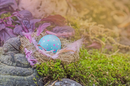 Easter background with blue eggs in nest out of doors
の写真素材