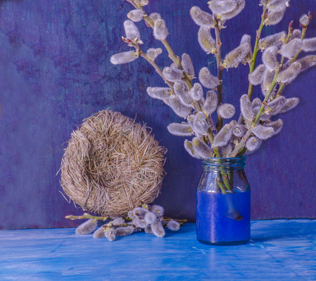 Easter still life of fur seals willow branches and nest on blue wooden backgroundの写真素材