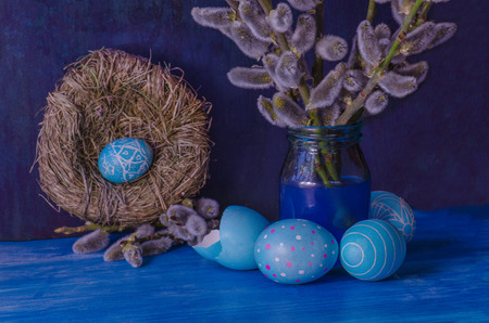 Branch of a willow on a wooden rustic blue background. Small twig of willow with spring catkins and blue Easter egg in the nestの写真素材