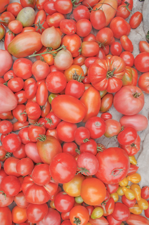 Ñolorful  ripe tomatoes. Lots of tomatoes in the storeの写真素材