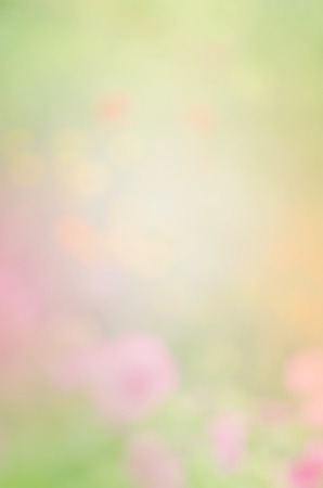 Blurred pink flower background. Blurred flower nature background concept.
