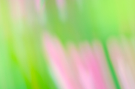 Blurred pink flower background.  Abstract blurred color nature background. Pastel color tone background with abstract bokeh lightの写真素材