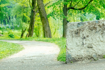 Green fields and meadows. Green nature design.の写真素材