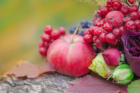 Autumn background with yellow leaves, apples and flowers. Autumn harvest  on wooden background. Autumn background with seasonal  berries, apples and flowers on the wooden background in gardenの写真素材