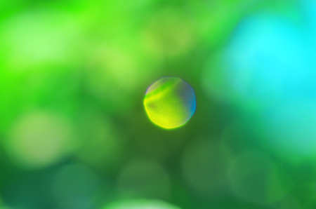  Spring or summer abstract bokeh nature background. Blurred city park background. Natural blurred...