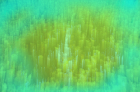  Abstract bokeh and blurred green nature background