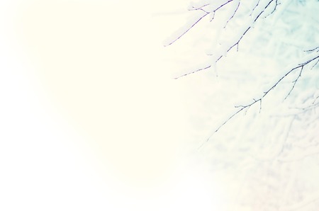 Christmas landscape with snowdrifts in the frost. Winter time snow space.  Copyspace for text. Merry christmas and happy new year  backgroundの写真素材