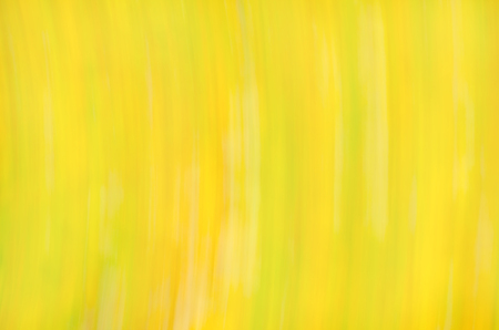 Golden Christmas abstract background. Christmas golden glittering backgroundの写真素材