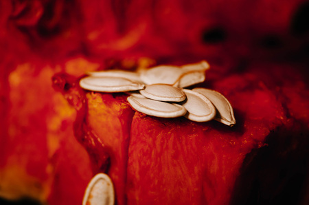 Pumpkin removing  loose pulp and seeds. Closeup of pumpkin piece. Orange pumpkin pulp and seedsの写真素材