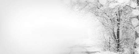 Snowy frozen winter road. Tire tracks in the snow. Snow covered winter trees and road. Black and white winter. Winter road background and free space. Panoramic banner backgroundの写真素材