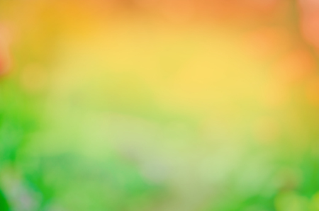 Autumn landscape blurred background. Autumn leaves beautiful nature bokeh forest  background. Autumnal natural bokeh backdropの写真素材